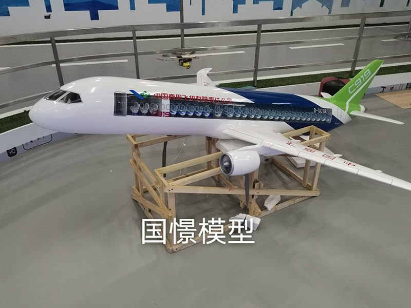 淳化县飞机模型