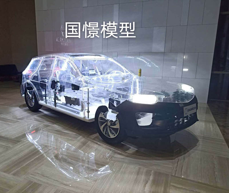 淳化县透明车模型